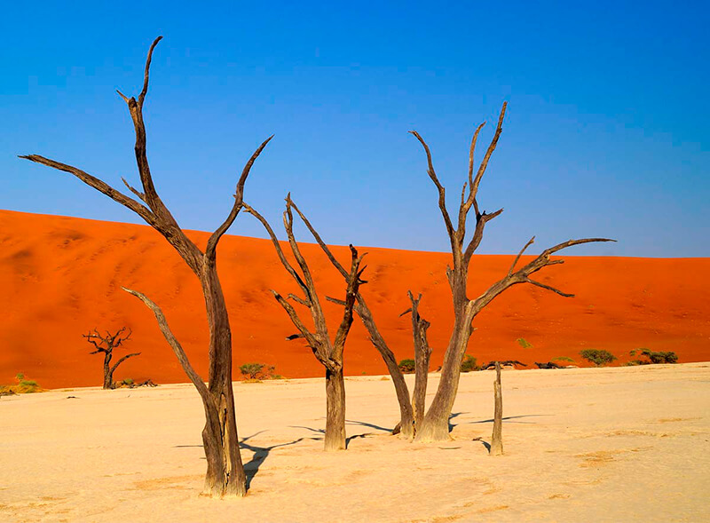 tour virtual 360 del desierto de namibia